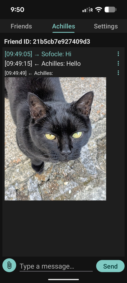An end-to-end encrypted one-on-one chat with text and an image